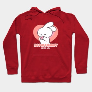 Love is in the Air: Somebunny Loves You! Hoodie